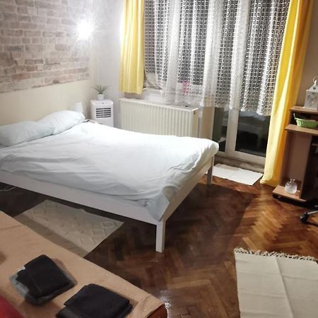 Ultracentral Cluj Napoca,Balcony,Fast Wifi,Parking Bagian luar foto