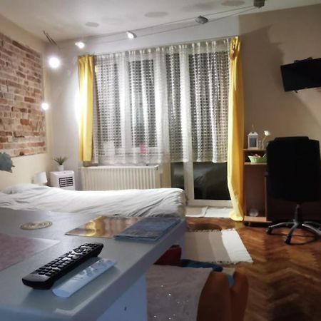 Ultracentral Cluj Napoca,Balcony,Fast Wifi,Parking Bagian luar foto