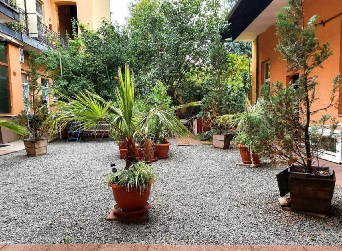 Ultracentral Cluj Napoca,Balcony,Fast Wifi,Parking Bagian luar foto